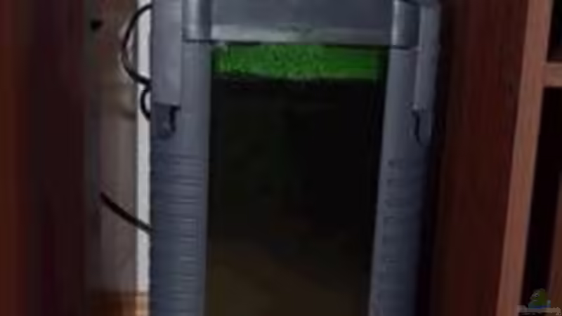 Großer Eheim 2028 von Nikolai Straub-Hansen (7)