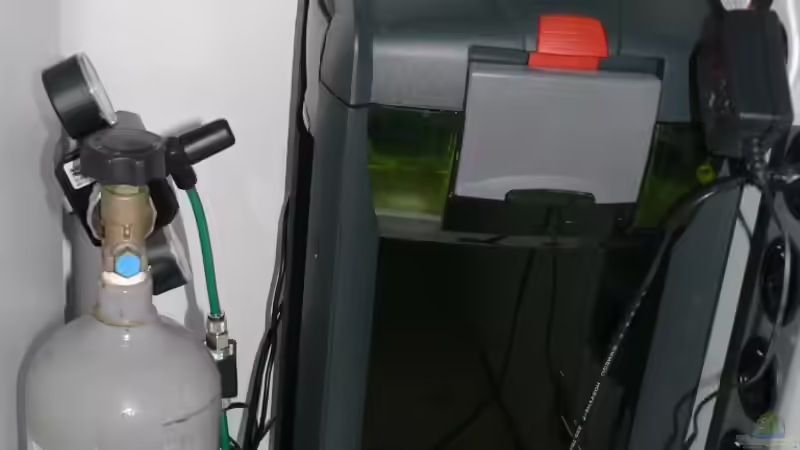 großer Eheim und CO2 Flasche von Der Nicky (78)