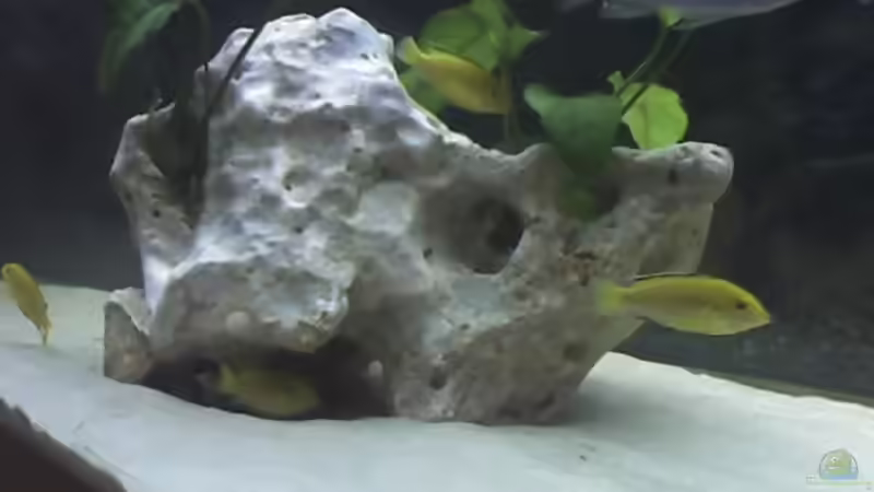 großer Lochstein in der Mitte von Heiko Rodegast (13)