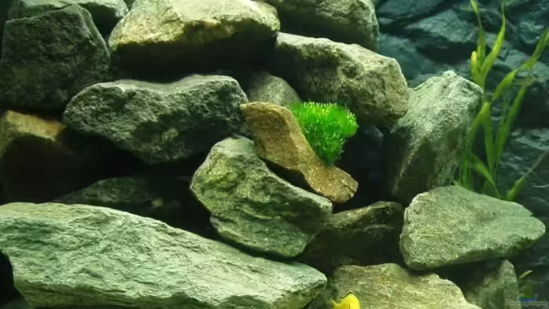 Großer Steinhaufen mit einem Labyrinth an Höhlen. von A.Zabanoff (13)