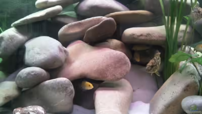 grosser Steinhaufen von Michael 123 (12)