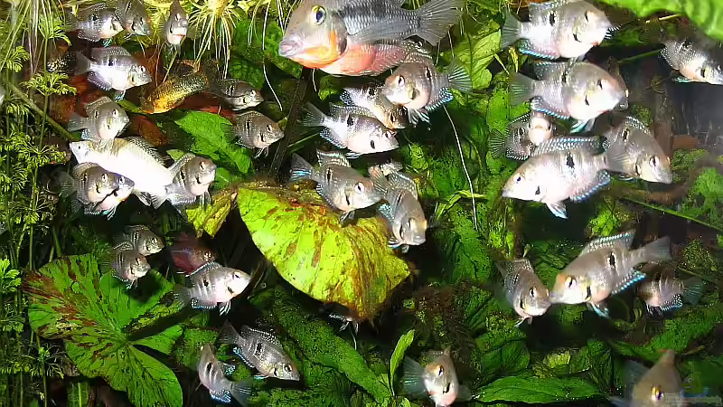 Grossfamilie von Claudia Müller (13)