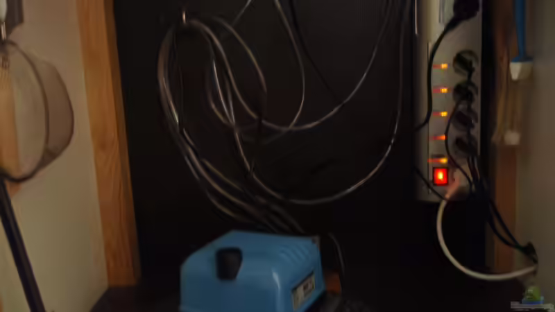 Großmembranpumpe Hailea V20 und Gembird SilverShield-Leiste links im Unterschrank von The Pictus catfish (25)