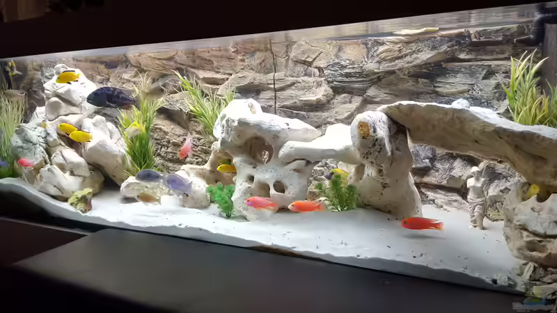 Großzugige Schwimmfläche von Mare (3)