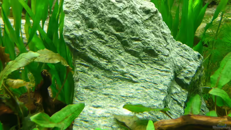 Grüner Granitblock von Zewana (11)