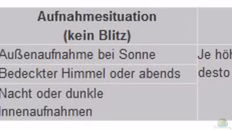 Grundlagen "Aquarium - Fotografie"