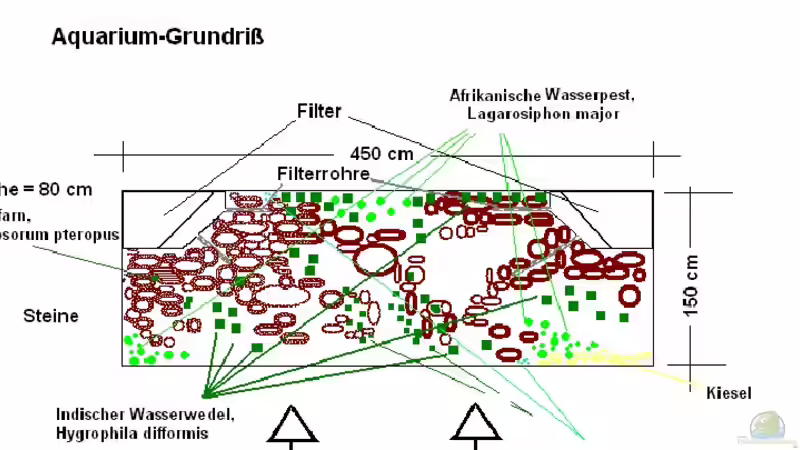 Grundriß von Jari Grünig (5)