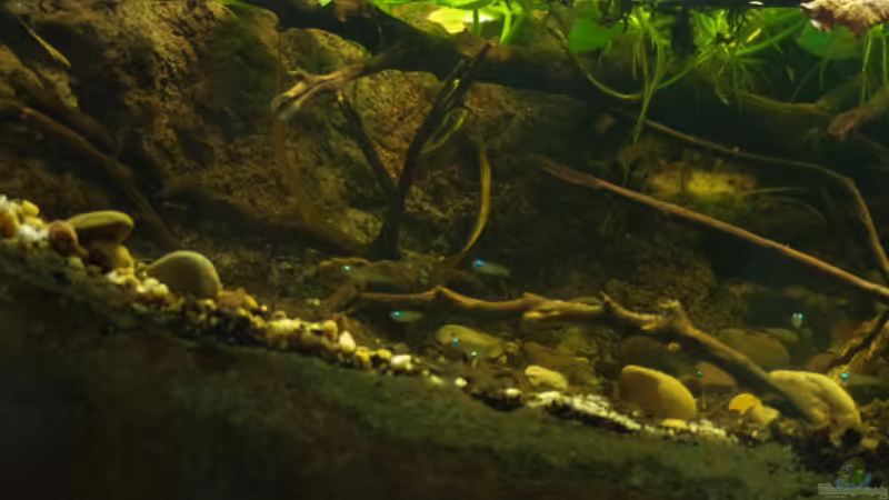 Gruppe von gkr123 (32)