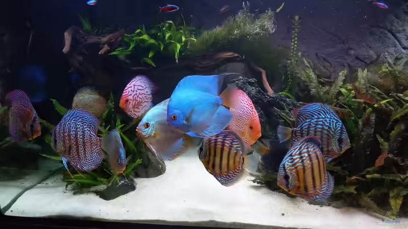 Gruppe von Vancouver2010 (119)