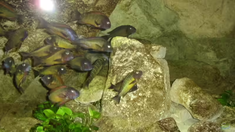 Gruppe vor dem großen Kalksandstein von Thomas Kalisch (19)