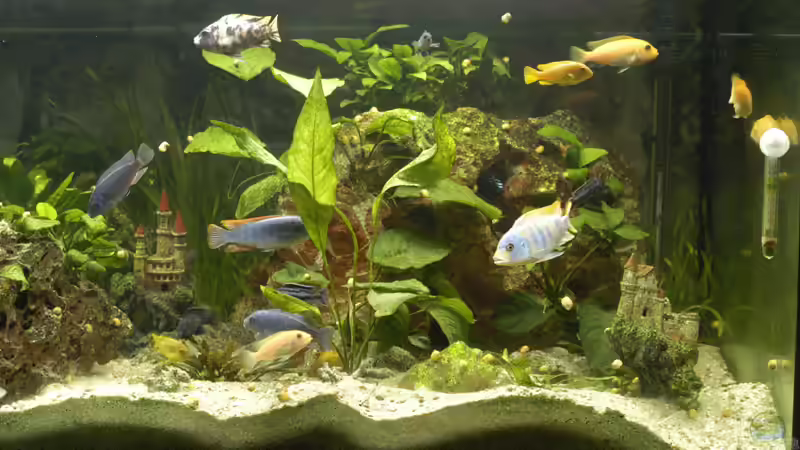 Gruppenbild von Gerhard Schrenk (26)