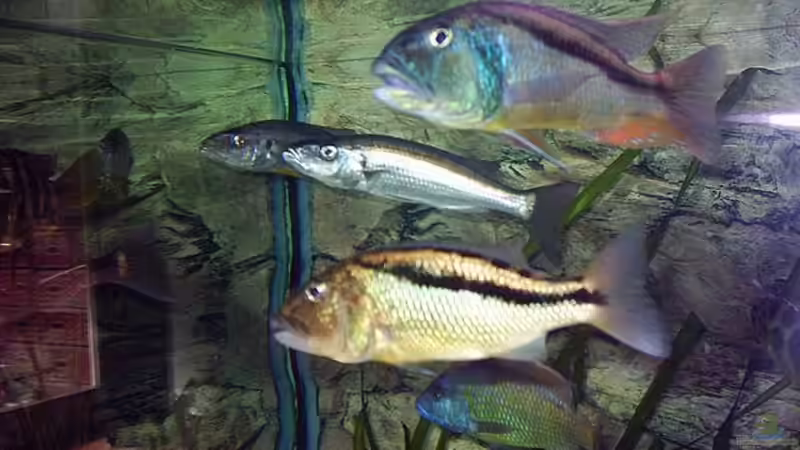 Gruppenbild von Jürgen Herb (32)