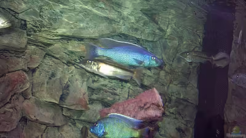 Gruppenbild von Jürgen Herb (4)
