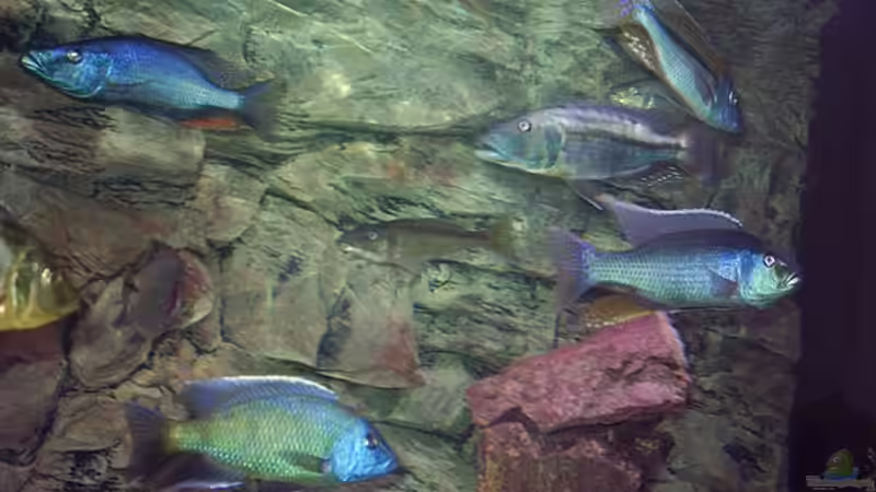 Gruppenbild von Jürgen Herb (5)