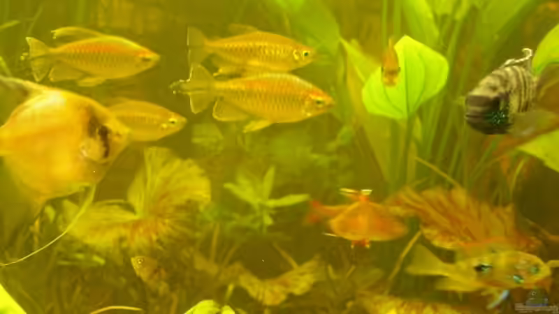 Gruppenbild von Liane Stechert (9)