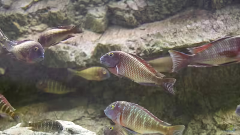 Gruppenbild von Markus Walter (30)