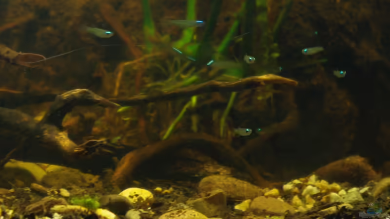 Gruppenfoto 02 von gkr123 (34)