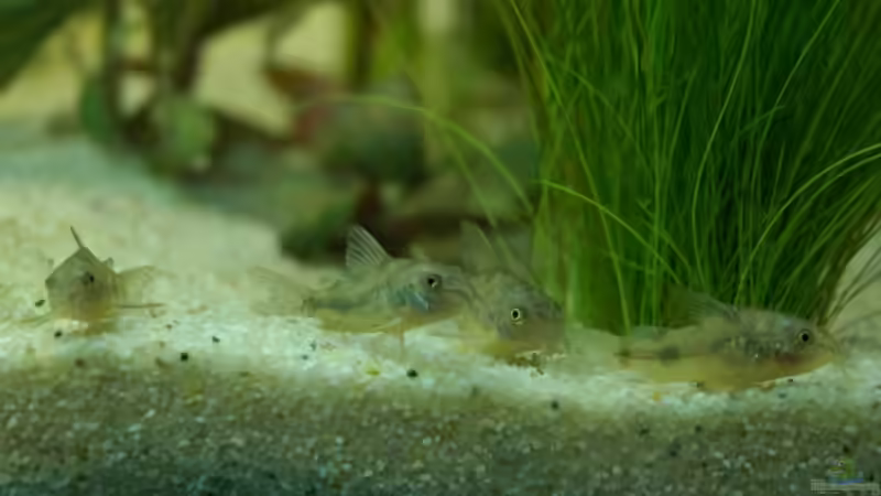 Gruppenfoto von Johannes B. (7)