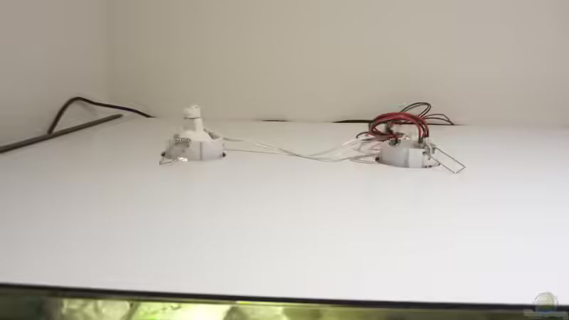 GU5.3 Spots mit Fassung von Raid_0 (15)