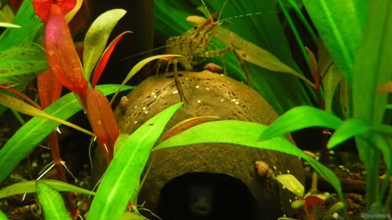 guckst Du von Remo Hannemann (5)