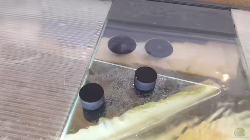 gummiert Magnete und Saugnäpfe für die Befestigung  von A. Schmidt (15)