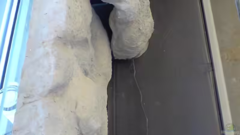 Gummimatte zum Schutz der Scheibe vor dem Betonboden von timme (7)