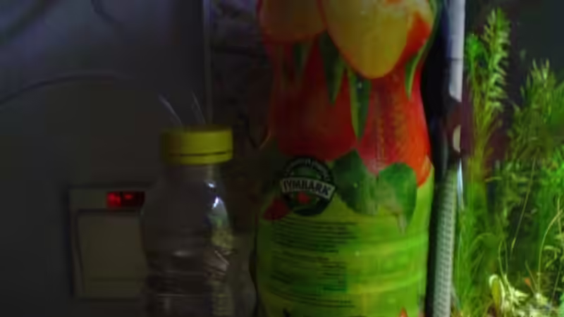 Gut und guenstig ;] von Tadeus72 (3)