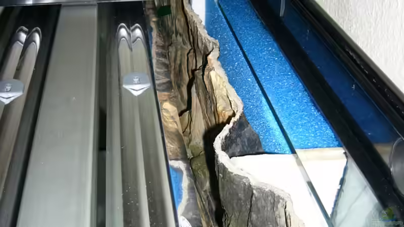 gut zu sehn die Kammern hinter der Rückwand mit Filterschwamm von Nico (41)