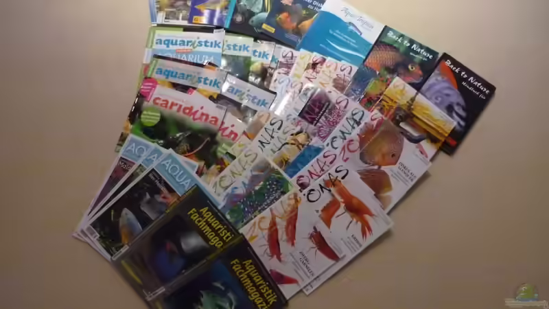 gute N8 Lektüre von Chris_R. (28)