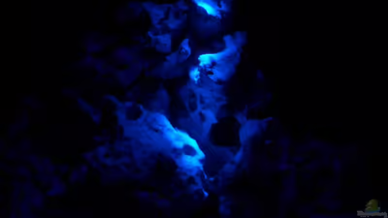 Gute Nacht / Mondlicht von LaikMe (6)