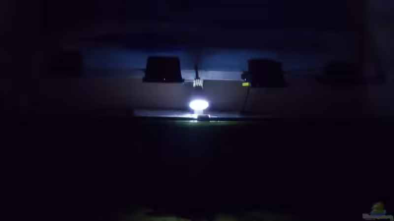 Gute Nacht, John Boy!´, ´Gute Nacht, Elizabeth!´, ´Gute Nacht, Jim Bob!´ von PH Neutral (25)