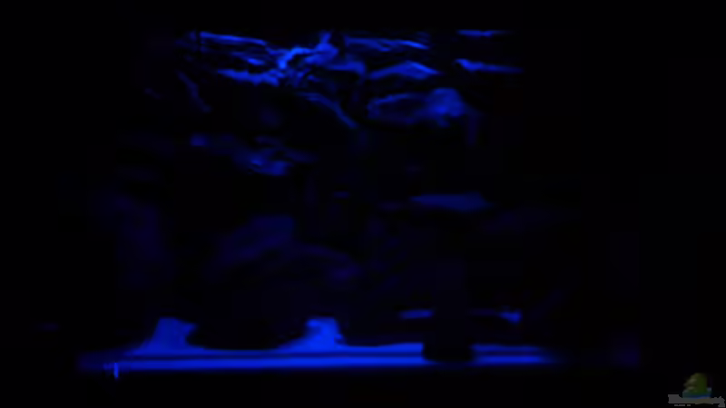 Gute Nacht von Michael Fischer (2)