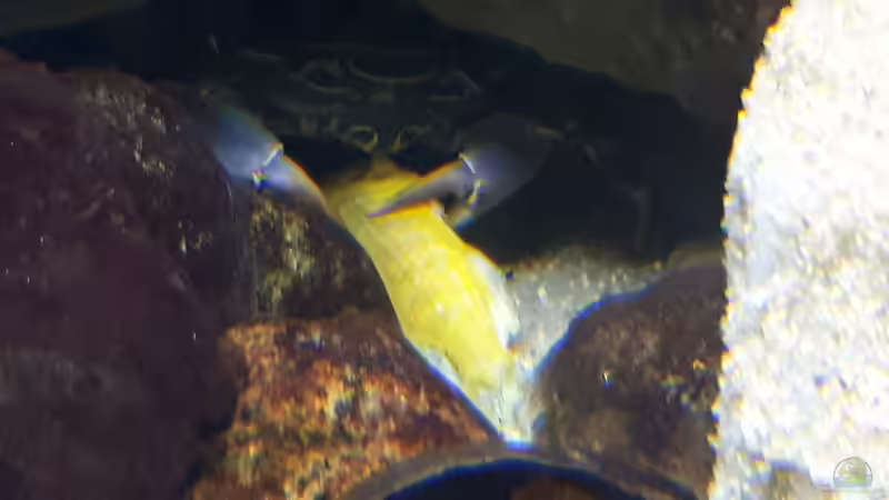 guten Appetit von Miketsch (43)