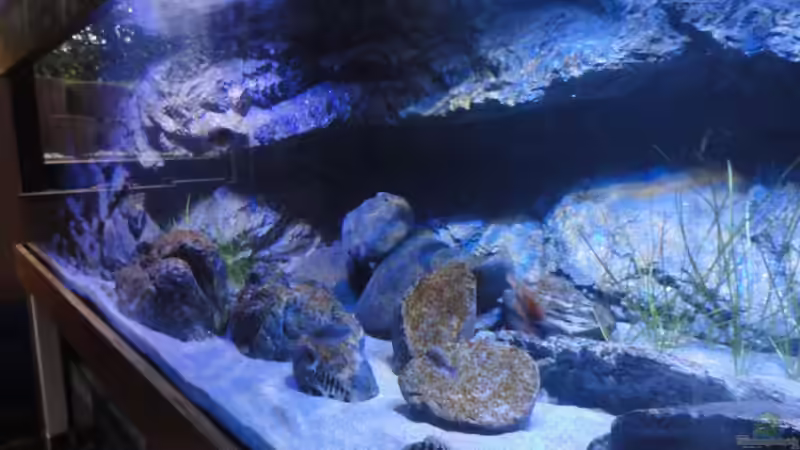 H-Stonemodul und große Kiesel von Strücher Jung (4)