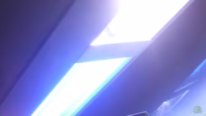 hab doch eins, aber nur von der Lampe von Katja Graßer (9)