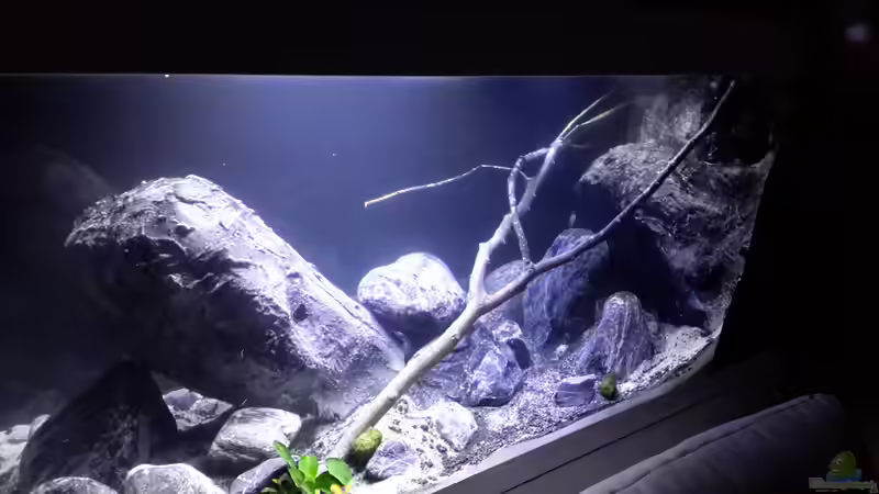 Habe den Sand noch etwas dunkler gestaltetmuss sich aber noch besser vermischen von Volker Nause (6)