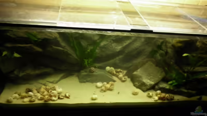 Hach ja.. von Julien Preuß (16)