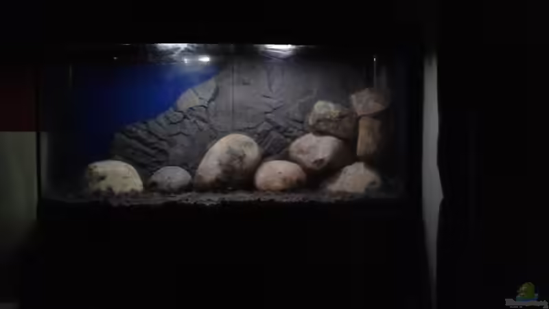 hälfte der steinaufbauten+zurechtgeschnittener rückwand von Torge Arp (3)