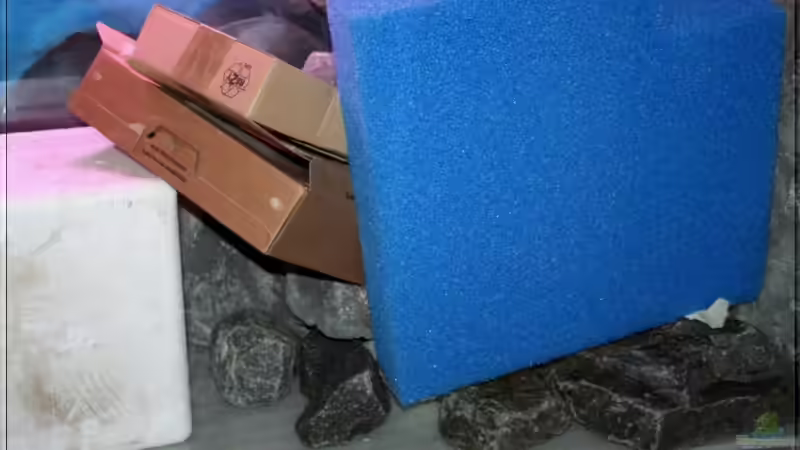 hält er - oder fällt er von Pütti (13)