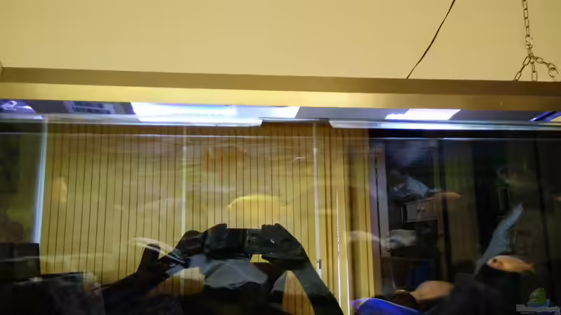 Hängelampe 120cm, mittig über dem Becken aufgehängt.Ich habe drei verschieden von Wasserfest ;-) (12)