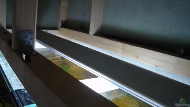 Hängeleuchte 180cm von Markus Josef (9)