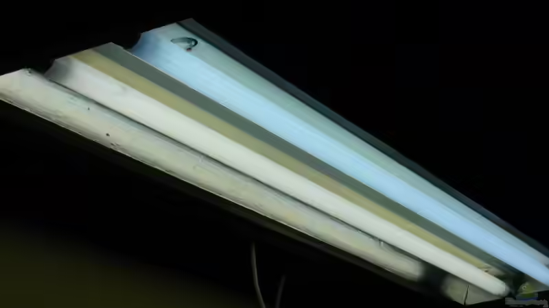 Hängeleuchte von unten  von Didi (38)