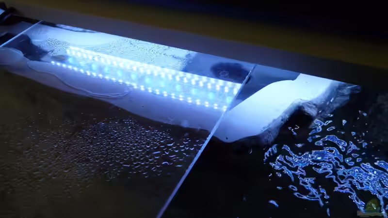 Hängender Felsen mit Höhleneingang (hinten) von Steffen S. (23)