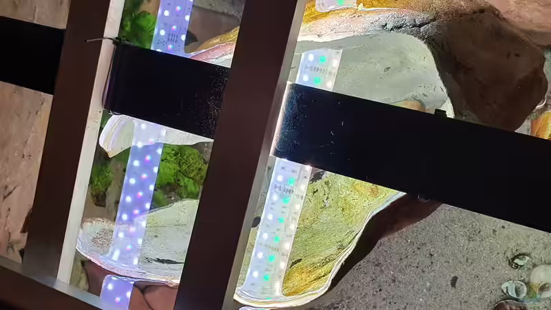 Hängender Kunstfelsen von ravaka (37)