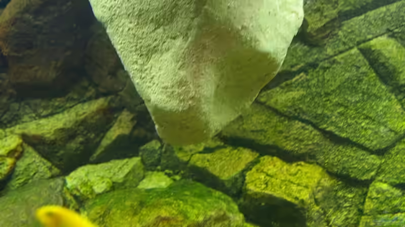 hängender Kunststeineigenbau von Nico A. (10)