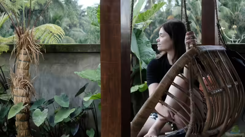 Hängesessel im Garten: Komfort, Stil und Entspannung unter freiem Himmel