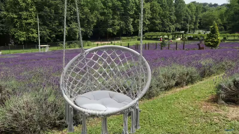 Hängesessel im Garten: Komfort, Stil und Entspannung unter freiem Himmel