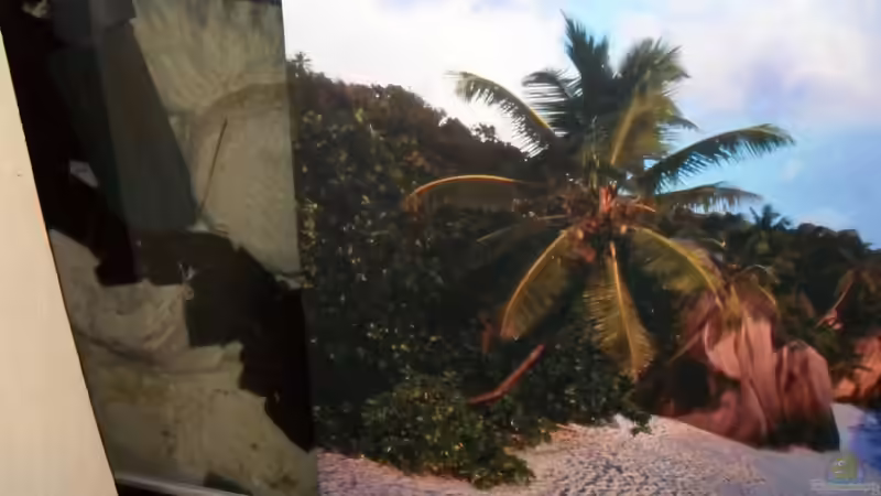 Halb eingeschobene Abdeckung für die Schnellfilter von tauchteddy (2)