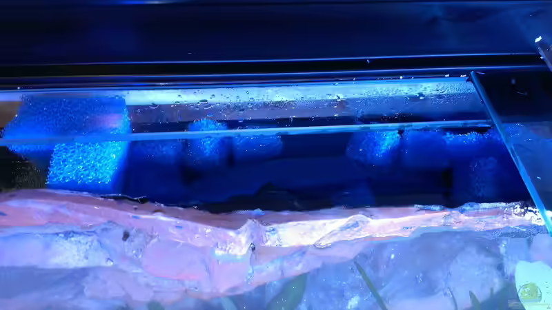 Halbbefüllter Bio-Filter von raubsau (55)