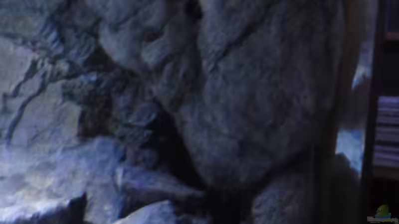 Halbes H-Stonemodul als Innenfilter von Strücher Jung (13)